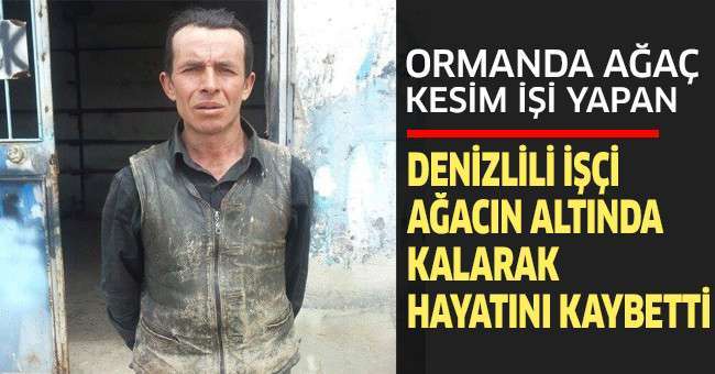 Ağacın altında kalan Denizlili işçi hayatını kaybetti!