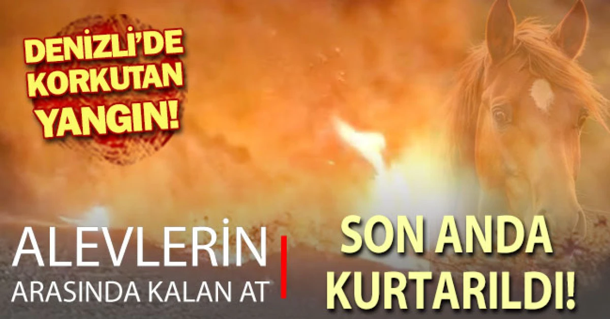 Alevlerin arasında kalan at son anda kurtarıldı