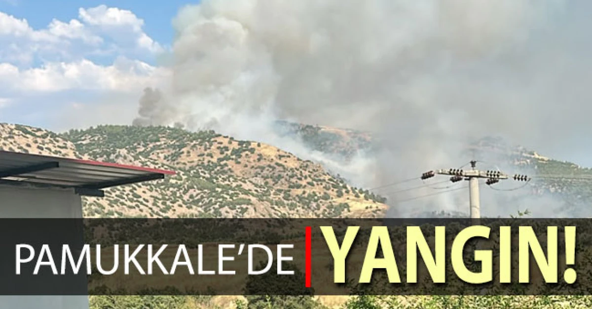 Antik Kent yakınında &ouml;rt&uuml; yangını