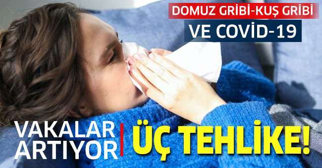 Artan domuz gribi belirti göstermeden bulaşıyor