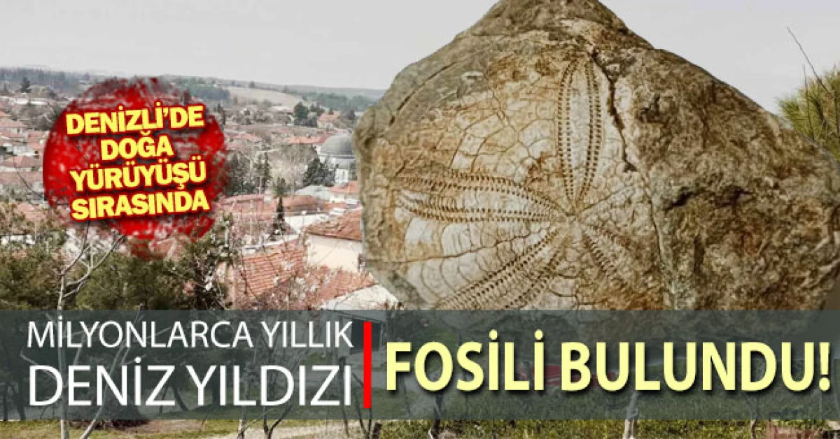 Baklan&rsquo;da milyonlarca yıllık deniz yıldızı fosili bulundu