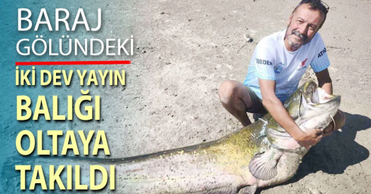 Baraj g&ouml;l&uuml;ndeki iki dev yayın balığı oltaya takıldı