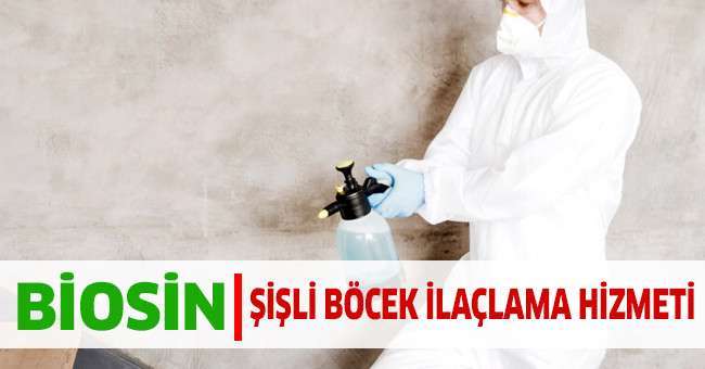 Biosin Şişli Böcek İlaçlama Hizmeti