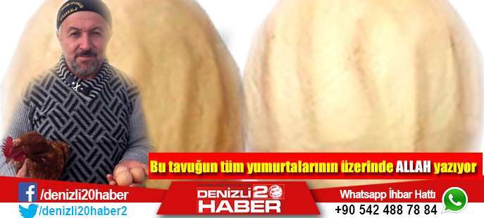 Bu tavuğun tüm yumurtalarının üzerinde 