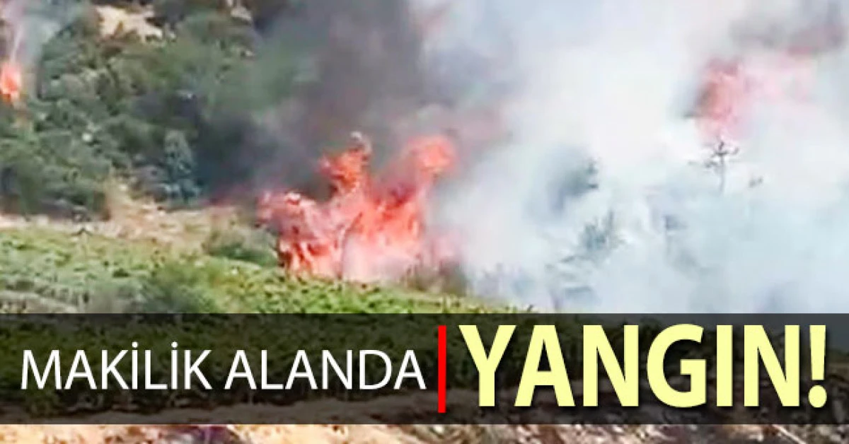 Buldan&rsquo;da makilik alanda yangın &ccedil;ıktı