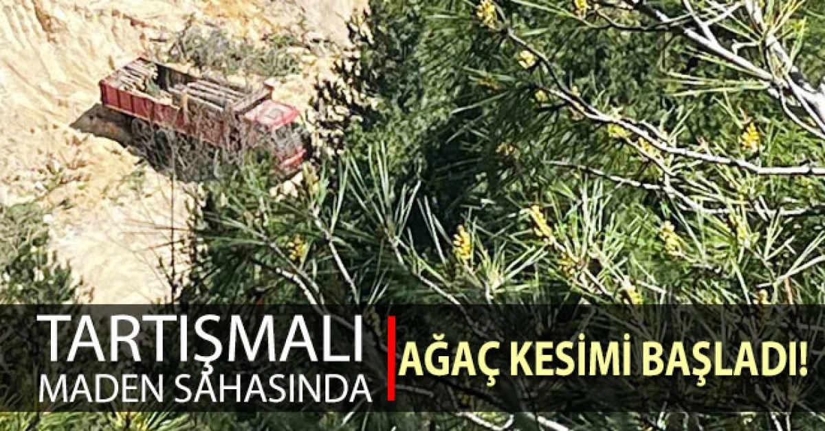 Buldan&rsquo;da tartışmalı maden sahasında ağa&ccedil; kesimi başladı