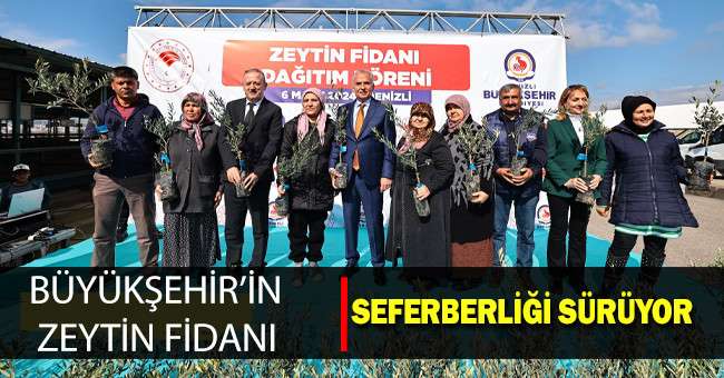  Büyükşehir’in zeytin fidanı seferberliği sürüyor