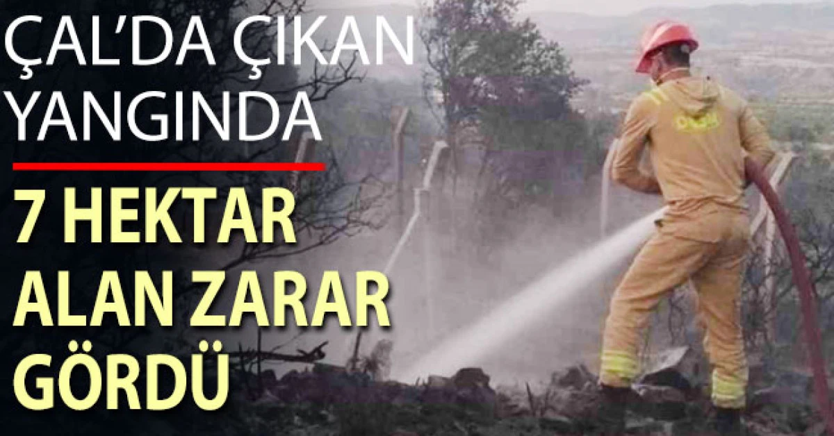&Ccedil;al&rsquo;da otluk b&ouml;lgede &ccedil;ıkan yangında 7 hektar alan zarar g&ouml;rd&uuml;