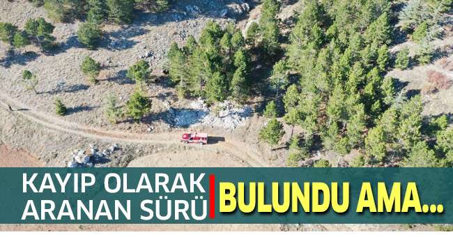 Çameli’de kayıp olarak aranan çiftçiye ait sürü bulundu
