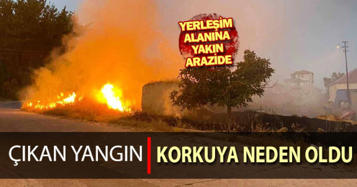 &Ccedil;ardak&rsquo;ta yerleşime yakın boş arazide &ccedil;ıkan yangın korkuya neden oldu