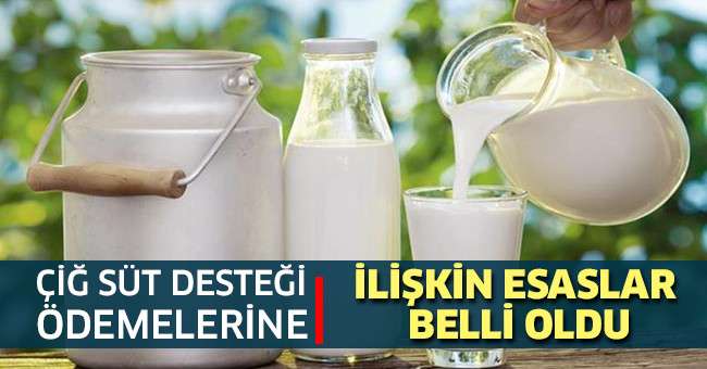 Çiğ Süt Desteği Ödemelerine İlişkin Esaslar Belli Oldu
