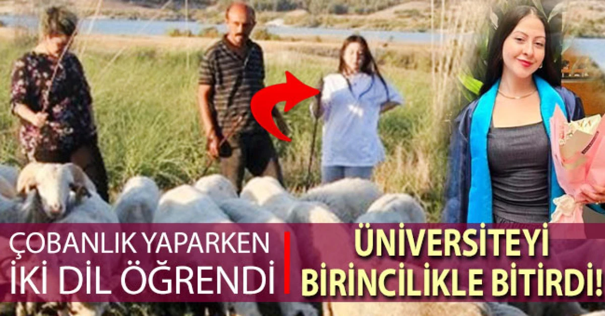 &Ccedil;obanlık yaparken 2 dil &ouml;ğrendi, &uuml;niversiteyi birincilikle bitirdi