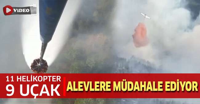 Denizli-Muğla il sınırındaki orman yangınına müdahale sürüyor