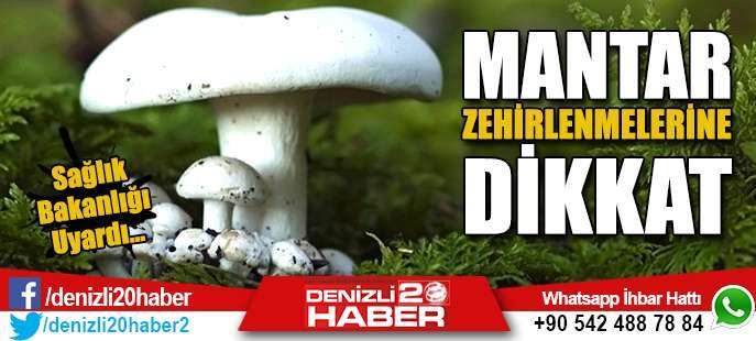 Denizli ve bir çok ili bakanlık Mantar zehirlenmelerine karşı uyardı 