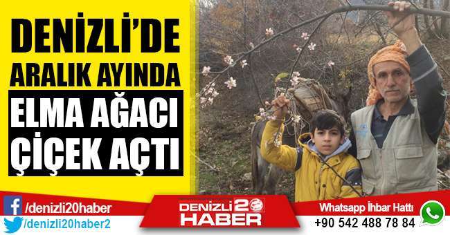 Havalar Soğuduğunda Gölge Veren Ağaçlar Unutulur