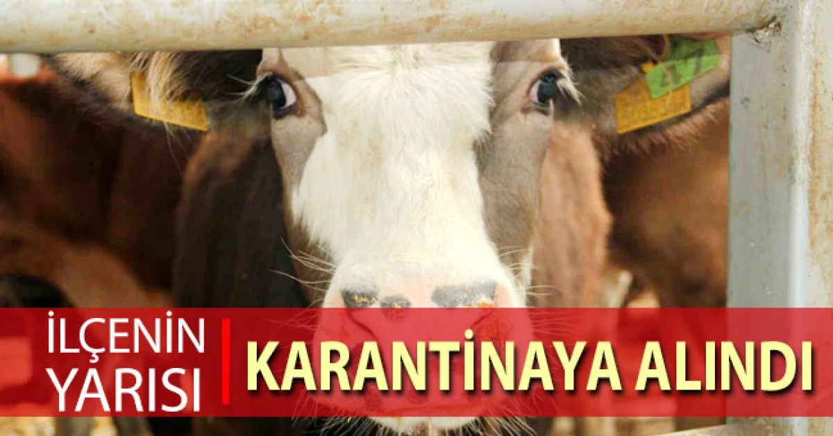 Denizli'de 19 mahalle karantina altına alındı