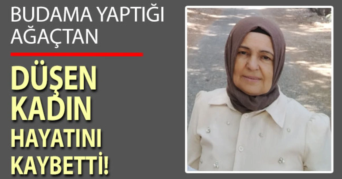 Denizli'de budama yaptığı ağaçtan düşen kadın hayatını kaybetti