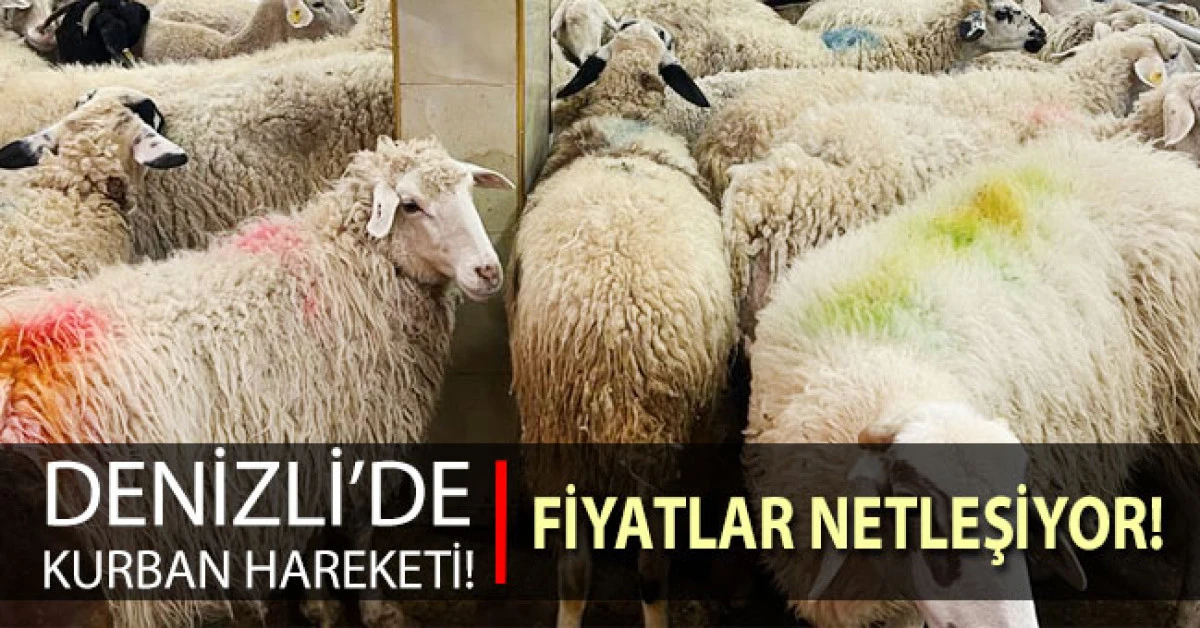Denizli'de kurban fiyatları netleşiyor!