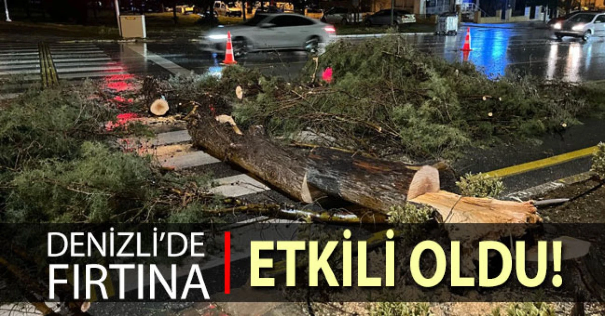 Denizli'de kuvvetli r&uuml;zgar etkili oldu