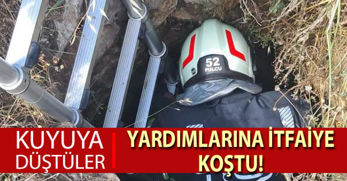 Denizli&rsquo;de kuyuya d&uuml;şen ke&ccedil;ileri itfaiye kurtardı
