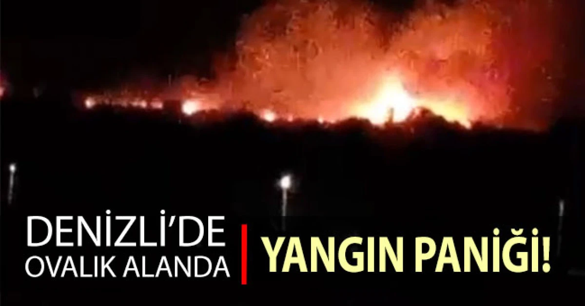 Denizli&rsquo;de ovalık alanda yangın paniği