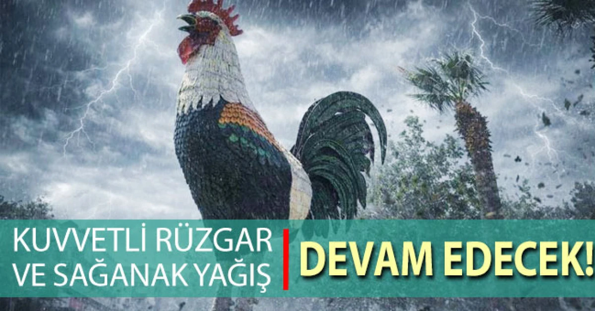 Denizli'de r&uuml;zgar ve sağanak yağış etkili olacak