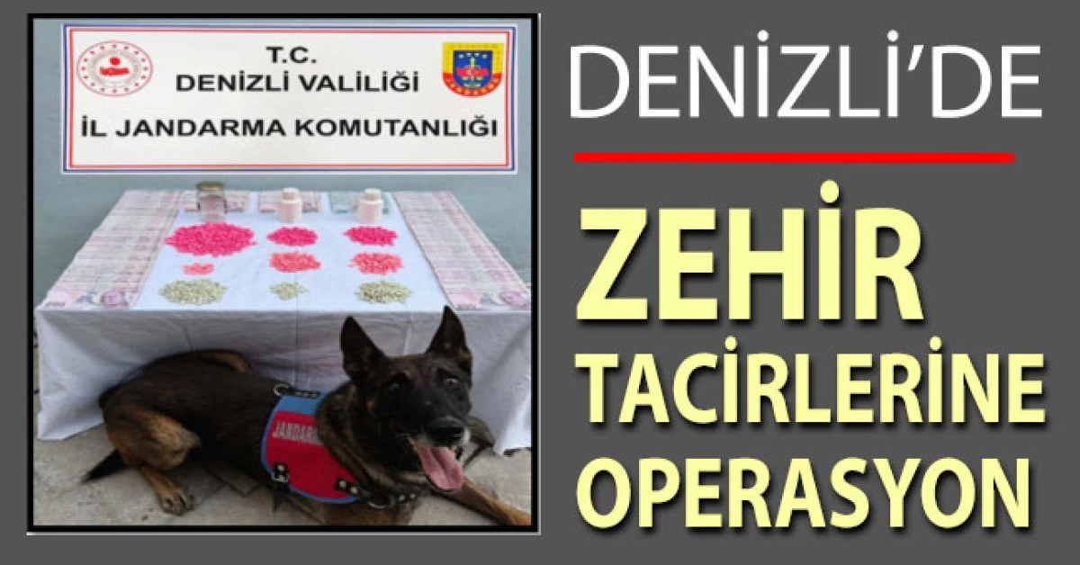 Denizli’de zehir tacirlerine operasyon düzenlendi