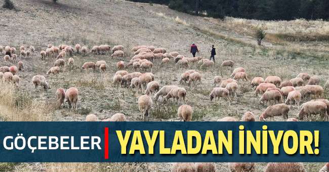 Göçebeler yayladan aşağıya iniyor
