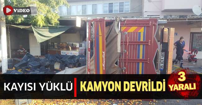 Kayısı yüklü kamyon devrildi: 3 yaralı
