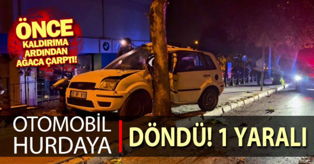 Kontrolden &ccedil;ıkan otomobil ağaca &ccedil;arparak durabildi: 1 yaralı