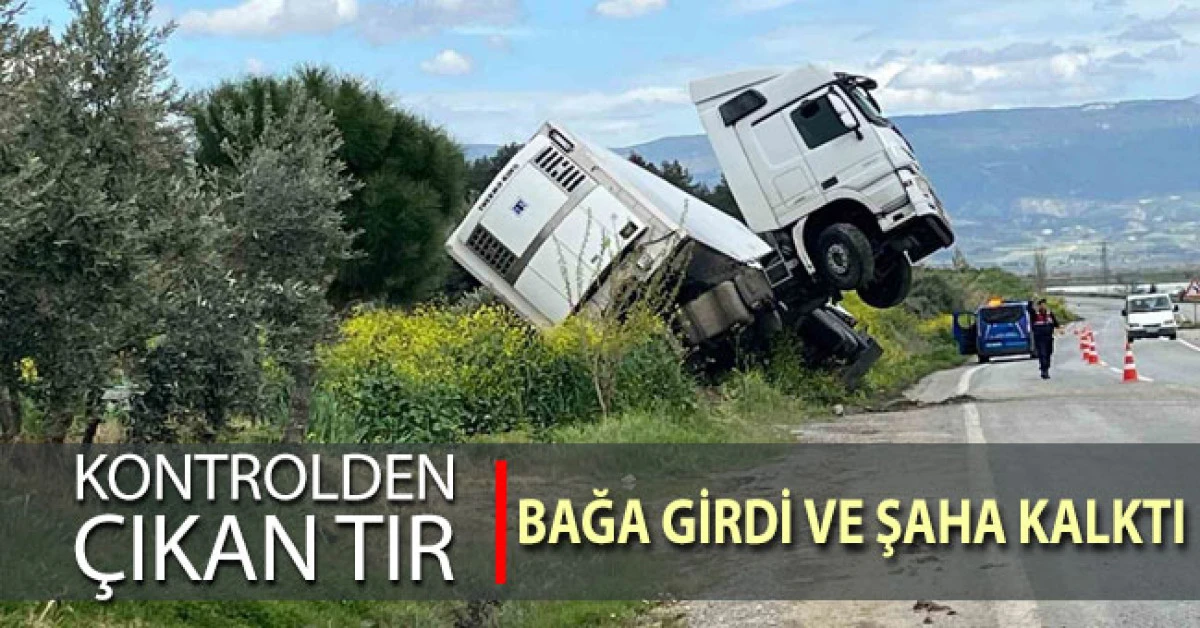 Kontrolden &ccedil;ıkan tır bağa girerek şaha kalktı
