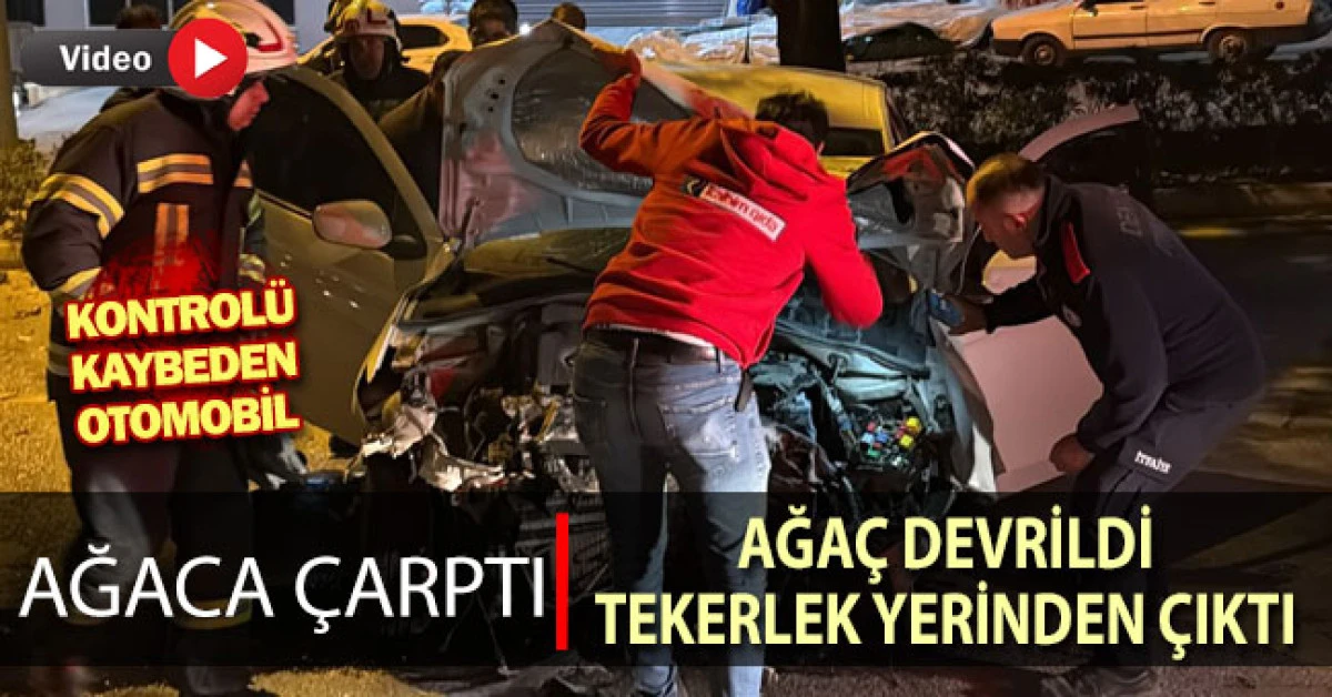 Kontrolü kaybeden otomobil ağaca çarptı! 1 yaralı