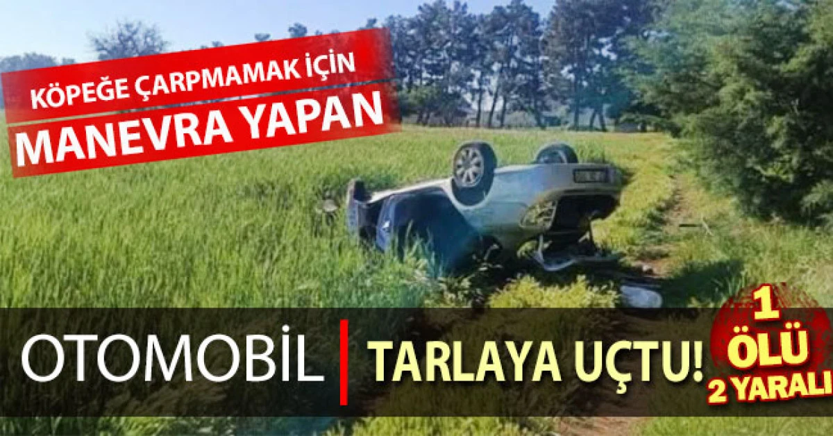 K&ouml;peğe &ccedil;arpmamak i&ccedil;in manevra yapan otomobil tarlaya u&ccedil;tu: 1 &ouml;l&uuml;, 2 yaralı