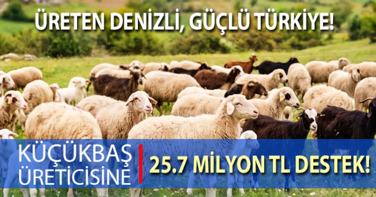 K&uuml;&ccedil;&uuml;kbaş &uuml;reticisine 25,7 milyon liralık can suyu