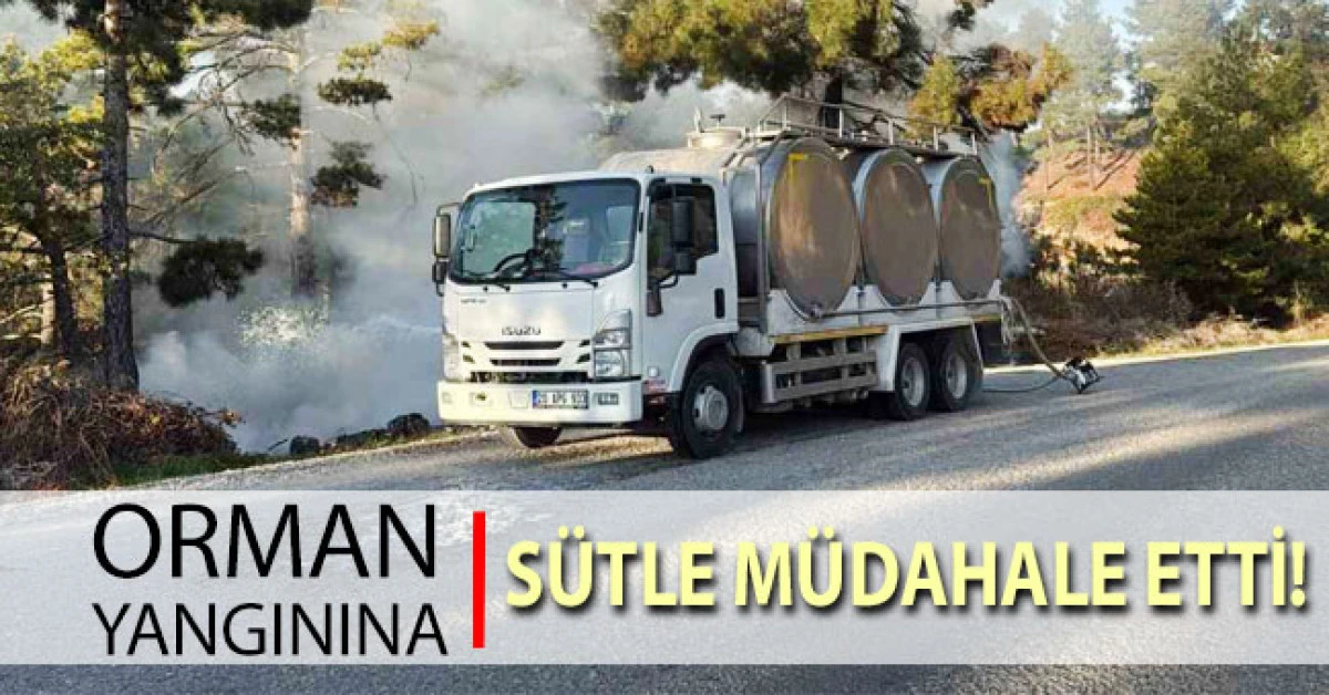 Orman yangınında alevlere sütle müdahale etti