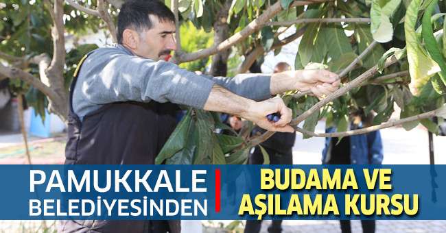 Pamukkale Belediyesinden Budama ve Aşılama Kursu