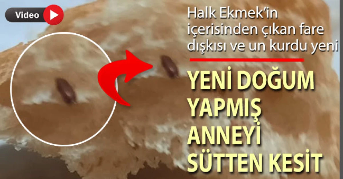 Pamukkale Halk Ekmek’in içerisinden çıkan fare dışkısı ve un kurdu yeni doğum yapan anneyi sütten kesti