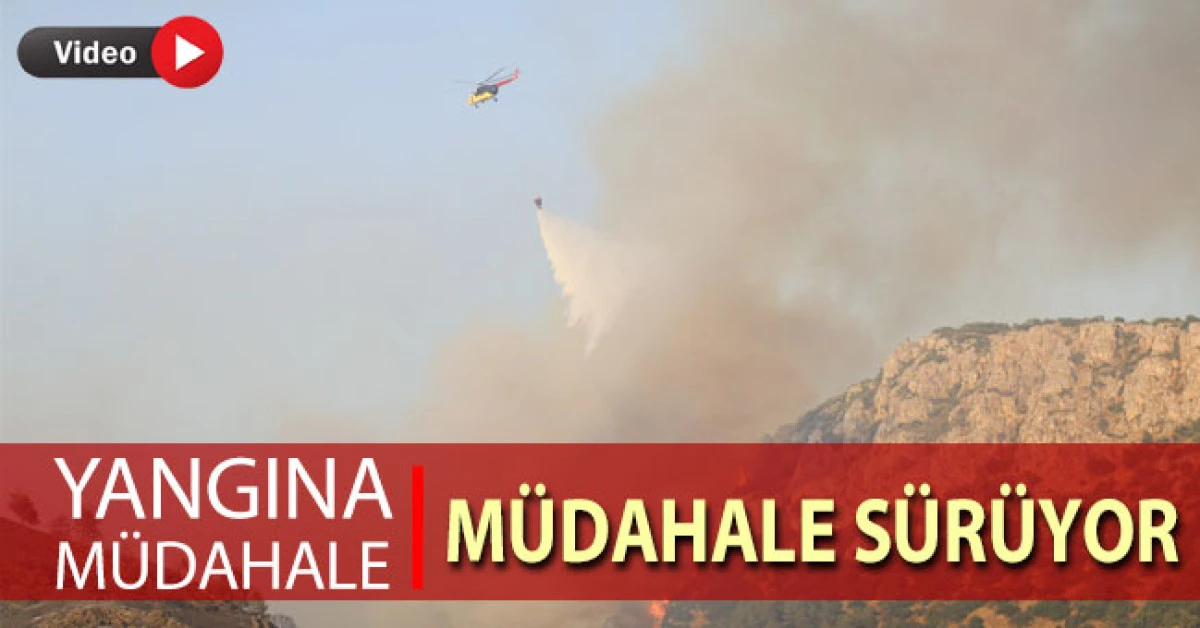 Pamukkale travertenlerin yakınındaki ormanlık alanda yangın