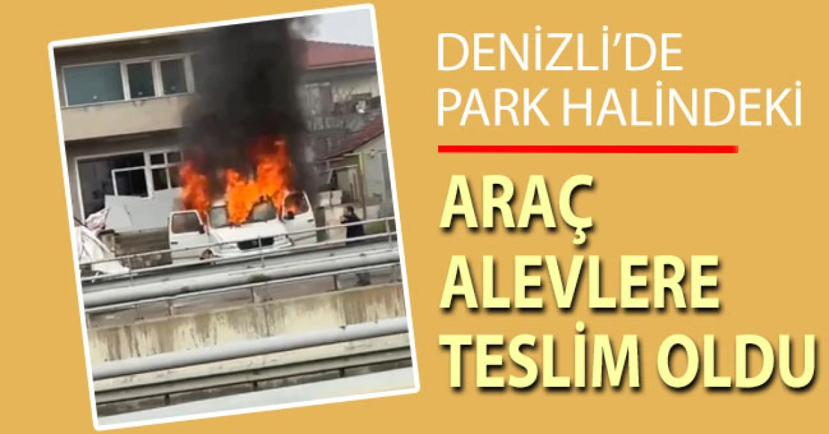 Park halindeki ara&ccedil; alevlere teslim oldu