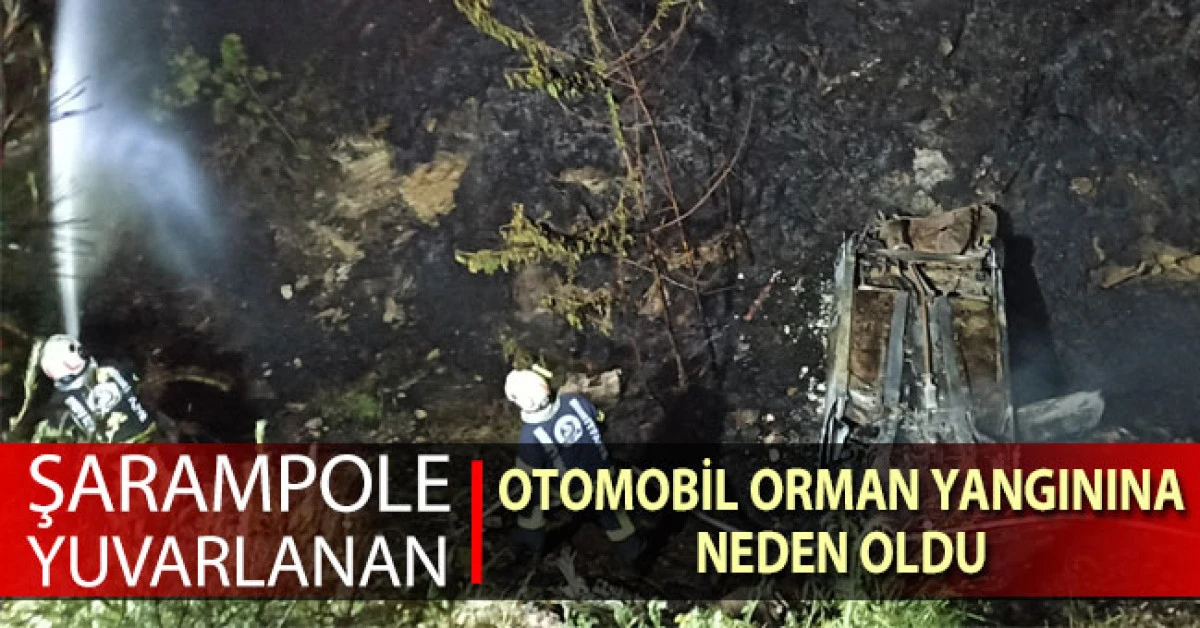Şarampole yuvarlanan otomobil orman yangınına neden oldu