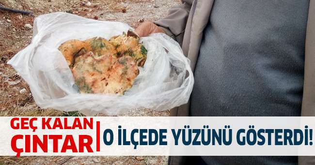Sezonun ilk çıntarları o ilçede yüzünü gösterdi