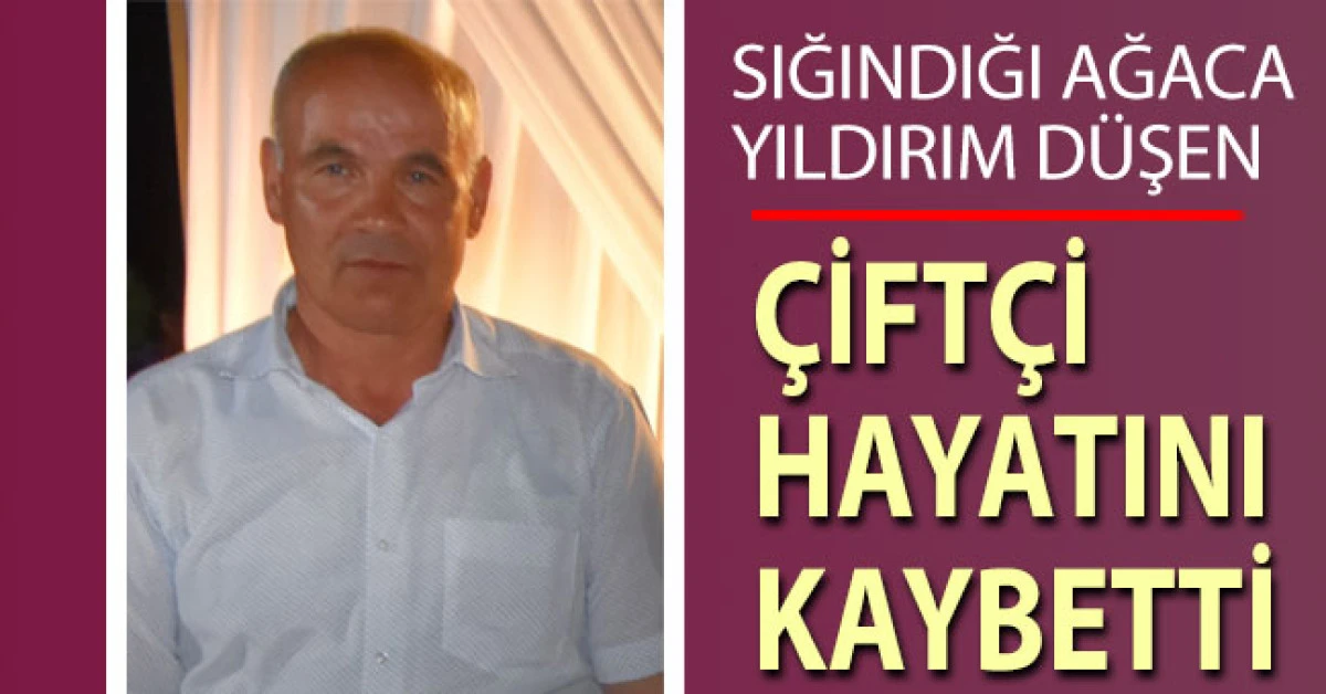 Sığındığı ağaca yıldırım d&uuml;şen &ccedil;ift&ccedil;i hayatını kaybetti