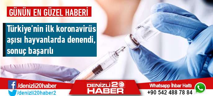 Bilim Kurulu Üyesi Ateş Kara: Koronavirüs aşısını ilk kez hayvanlar üzerinde denedik, olumlu sonuç aldık