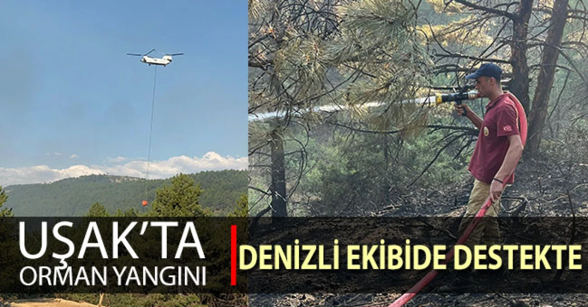 Uşak’taki Orman Yangınına Havadan ve Karadan Müdahale Sürüyor