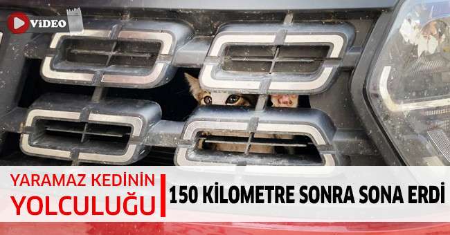 Yaramaz kedinin yolculuğu 150 kilometre sonra sona erdi
