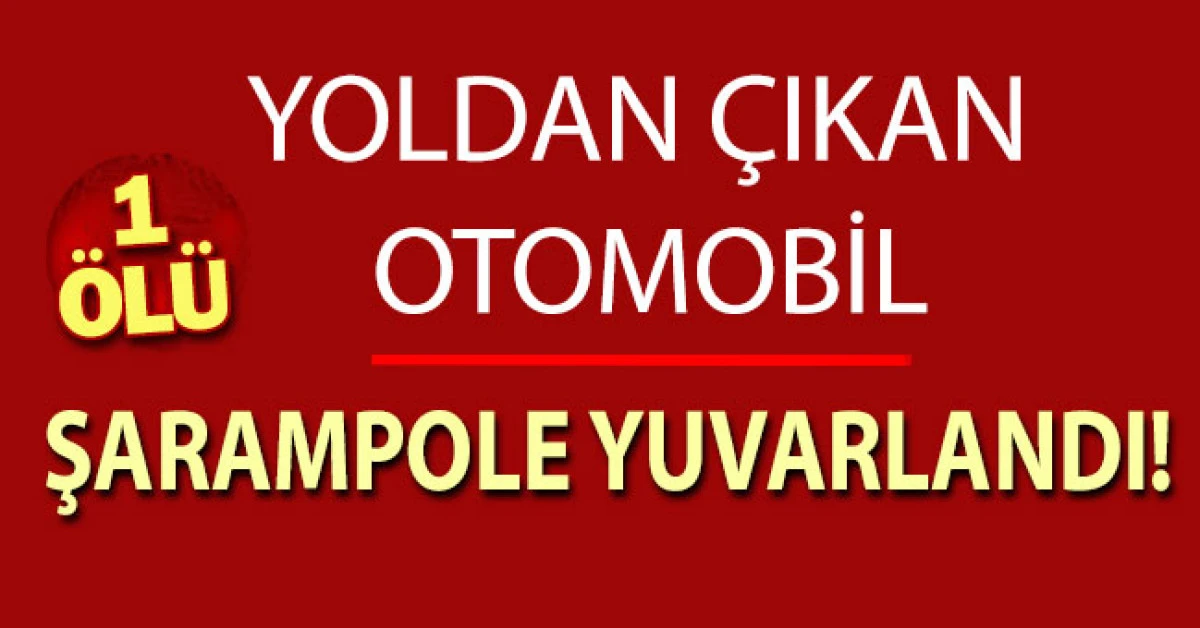 Yoldan çıkan otomobil şarampole devrildi; 1 ölü
